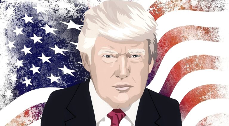 Desinformación en procesos electorales: las falsas críticas hacia los otros en las presidenciales de Estados Unidos de 2024